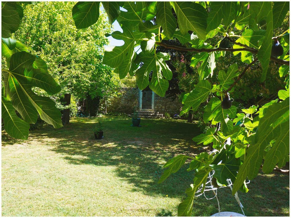 Chambre D'Hote La Romaine Vaison-la-Romaine Exterior foto